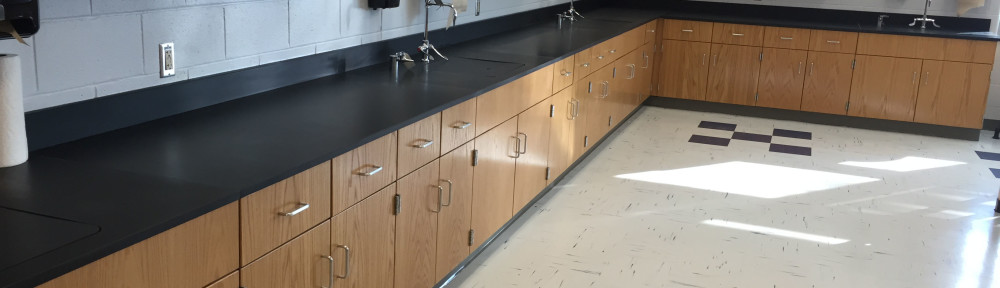 Wood Lab Casework