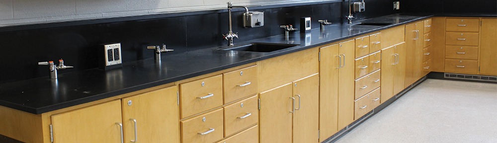 Wood Lab Casework